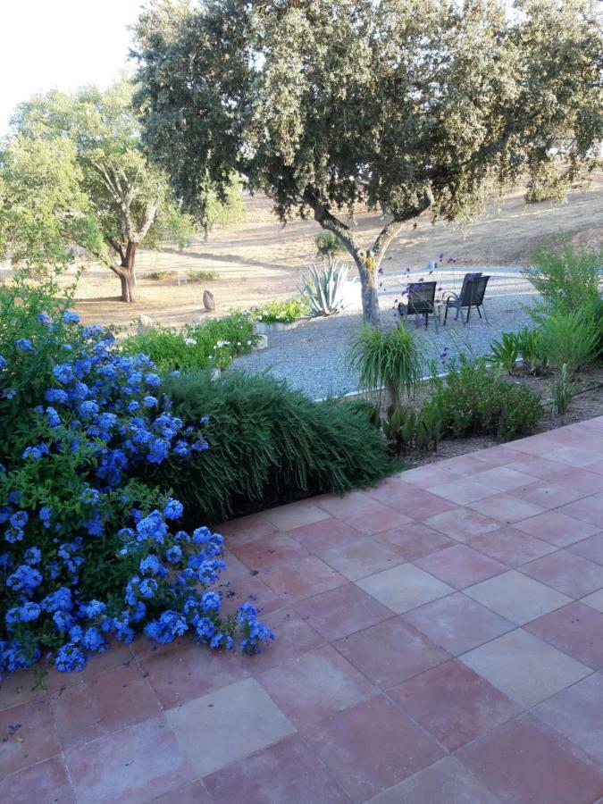 Monte Novo Da Sobreira, Rust En Ruimte In Zuid Alentejo Apartment Оурике Екстериор снимка